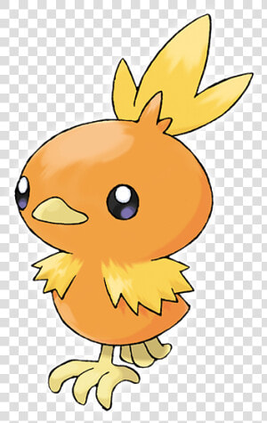 Torchic Png  Transparent Png