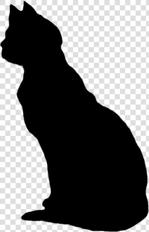 Cat Sitting Silhouette   Clipart Black Cat No Background  HD Png Download