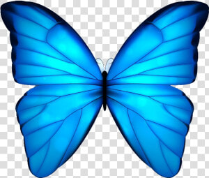 Butterfly Blue Clip Art   Blue Butterfly White Background  HD Png Download