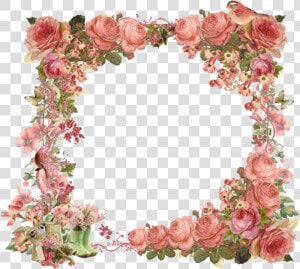 Cadre Fleurit Rose   Real Flower Transparent Border  HD Png Download