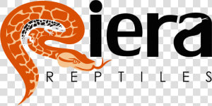 Reptile Breeder Logo  HD Png Download