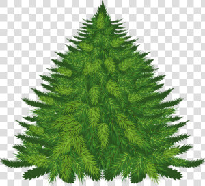 Fir Tree Png Image   Transparent Christmas Tree Cartoon  Png Download