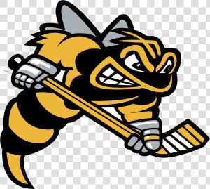 Sarnia Sting Logo  HD Png Download