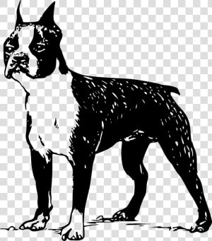 Clipart Boston Terrier Silhouette  HD Png Download