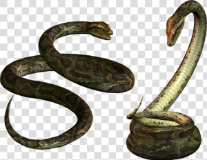 Download Snake Png Transparent Images Transparent Backgrounds   Anaconda Nicki Minaj Snake  Png Download