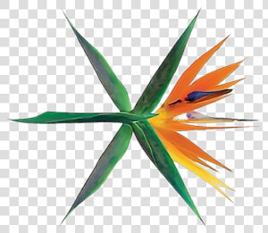  exo  logo  ko Ko Bop  comeback  png   Exo The War The 4th Album Album  Transparent Png