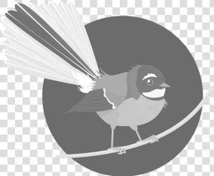 Old World Flycatcher  HD Png Download