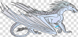 Narwhal Drawing Wing  HD Png Download