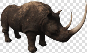 Rhino Png Photos   Rhinoceros  Transparent Png