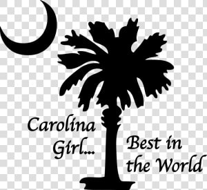 Clip Art Palm Tree And Crescent Moon Symbol   Sc Palmetto Tree And Moon  HD Png Download