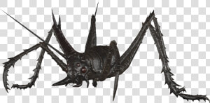 Dlc04 Enccavecricket02   Fallout Cave Cricket Black  HD Png Download