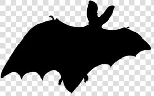 Bat Shadow   Bat Shadow Png  Transparent Png