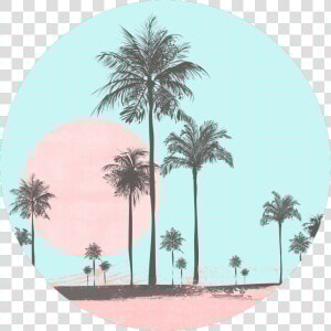 Miami Beach  Miami  Beach  Seaside  Coastal  Palm    Feeds Instagram Blue Pastel  HD Png Download