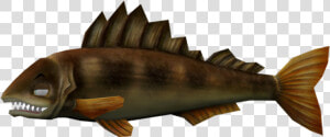 Download Zip Archive   Sailfish  HD Png Download