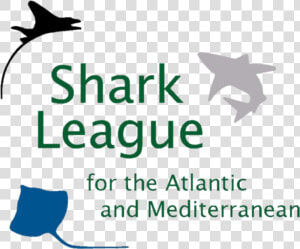Transparent Mako Shark Png   Geek  Png Download