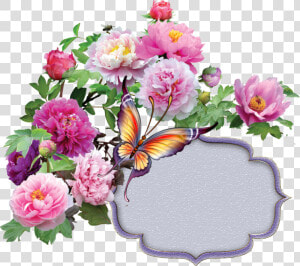 Arka Plan Çiçek Png  Transparent Png