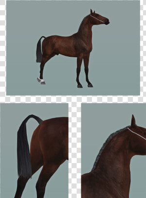 Sims 3 Roached Mane  HD Png Download