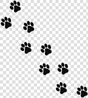 Footprint  Animal  Cat   Transparent Background Paw Prints  HD Png Download