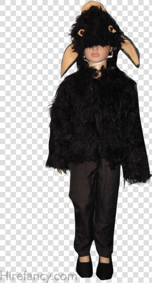 Costume   Png Download   Halloween Costume  Transparent Png