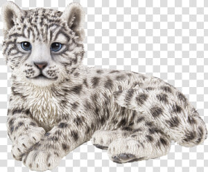 Snow Leopard Png  Transparent Png