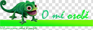 Rapunzel Chameleon  HD Png Download