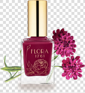 Nail Lacquer In Chrysanthemum   Nail Polish  HD Png Download