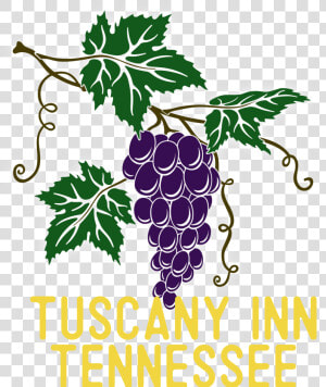 Tuscany Inn Tennessee   Seedless Fruit  HD Png Download