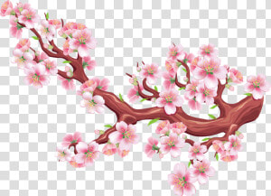 Sakura Png Free Download   Sakura Png  Transparent Png