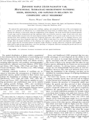 Document  HD Png Download
