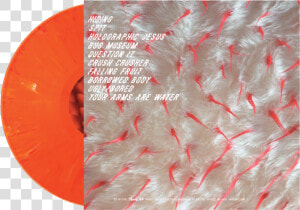 Crush Crusher Lp Back Square  HD Png Download