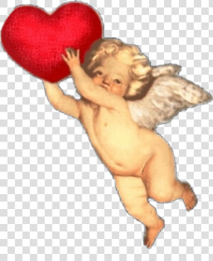  angel  cupid  love   Valentine  HD Png Download