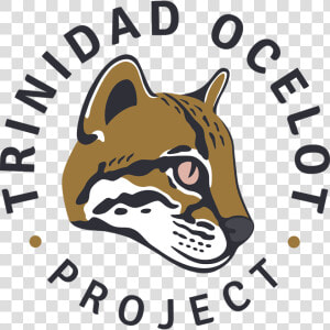 Trinidad Ocelot Project  HD Png Download