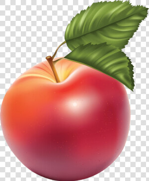 Apple Red Illustration Large   Apples Clipart Free  HD Png Download