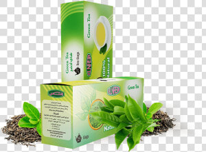 Green Tea Bags   Finch  HD Png Download