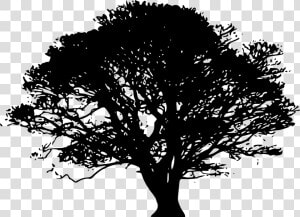 Tree Silhouette Art Clip Art   Green Tree Silhouette Png  Transparent Png