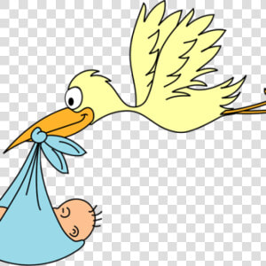 Flamingo Clipart Baby   Newborn Baby Cartoon Png  Transparent Png