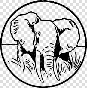 Transparent Elephant Head Clipart   Indian Elephant  HD Png Download