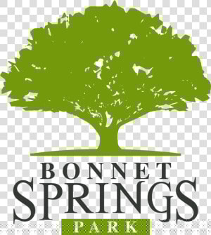 Bonnet Springs Park Lakeland  HD Png Download