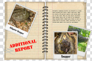 Additional Report   Book Cover  HD Png Download