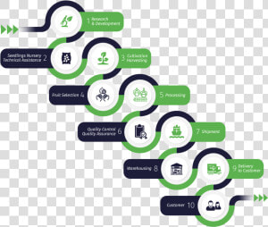 Supply chain   Products Journey Through The Supply Chain  HD Png Download