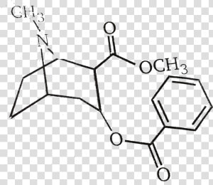 Cocaine Png  Transparent Png