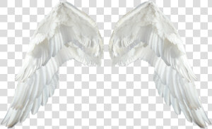 Realistic Angel Wings Transparent Png   White Wings Png  Png Download
