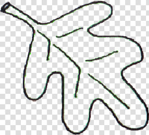 Leaf Bw   Oak Leaf Line Art  HD Png Download