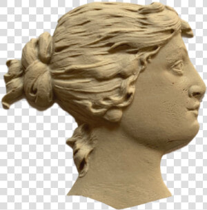 Face Accent 3 7 8 High 3 3 4 Wide   Bust  HD Png Download