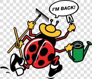 Lady Bug Cartoon Saying  I M Back  HD Png Download
