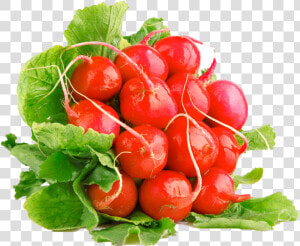 Radish   ผัก ผล ไม้ สี Png  Transparent Png