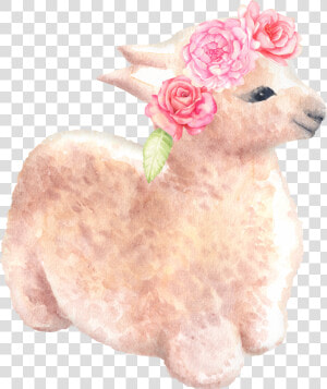Longhorn Clipart Flower Crown Banner Free Llama Watercolor    Watercolor Painting  HD Png Download