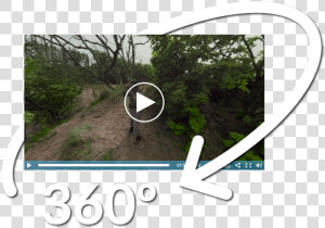Header Image For 360° Video Through The Eyes Of Our   Grass  HD Png Download