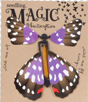 Seedling Magic Butterfly   Monarch Butterfly  HD Png Download