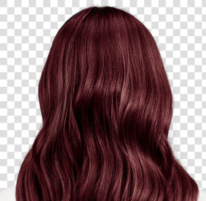 Medium Brown Hair Color  HD Png Download